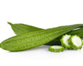 Ridge gourd
