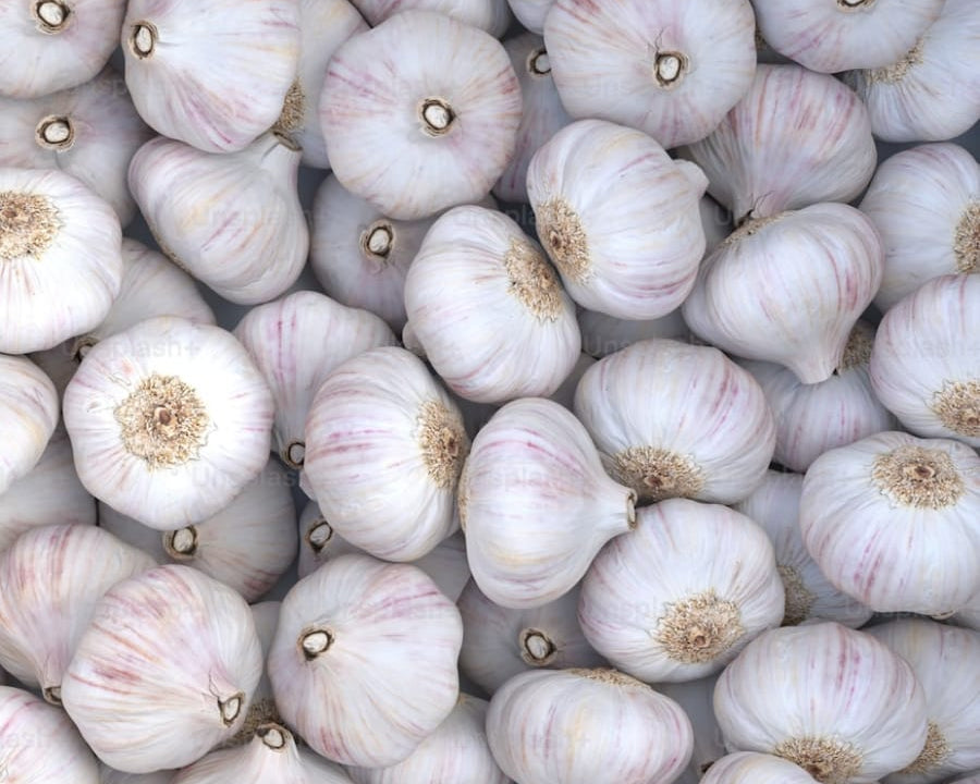 Garlic