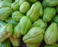 Chayote