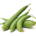 Sponge gourd