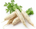 Radish