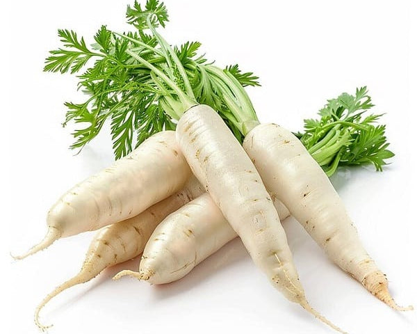 Radish