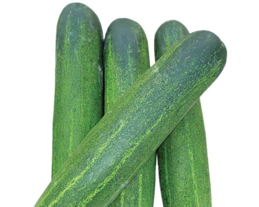 cucumber