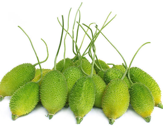 Spine gourd
